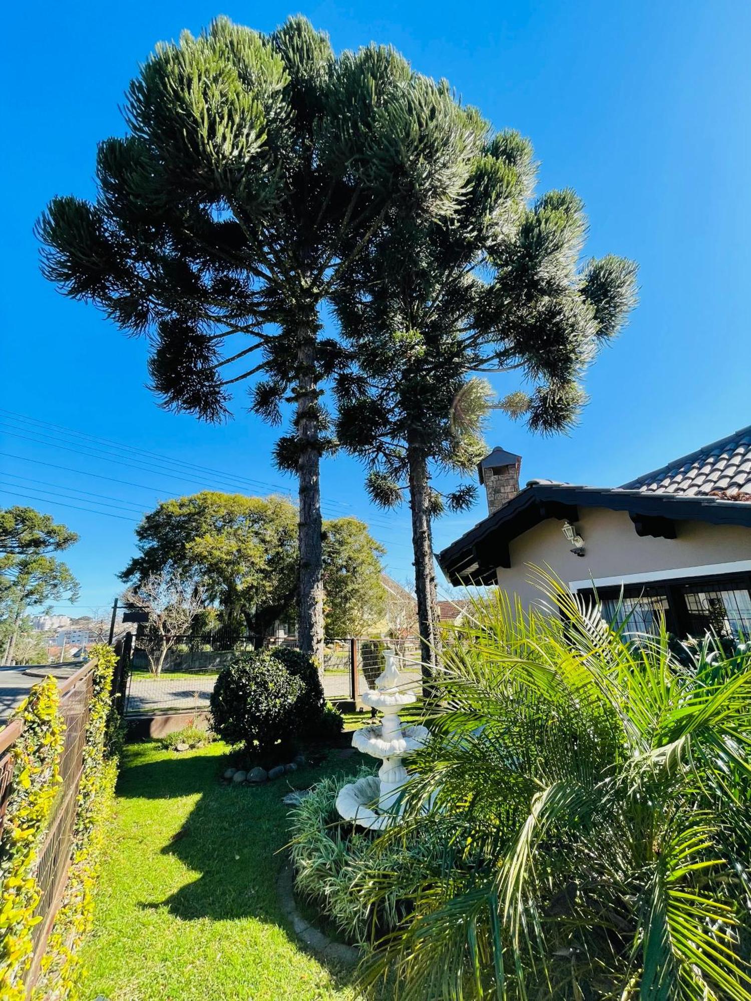 Residencial Pine House Ξενοδοχείο Canela Εξωτερικό φωτογραφία